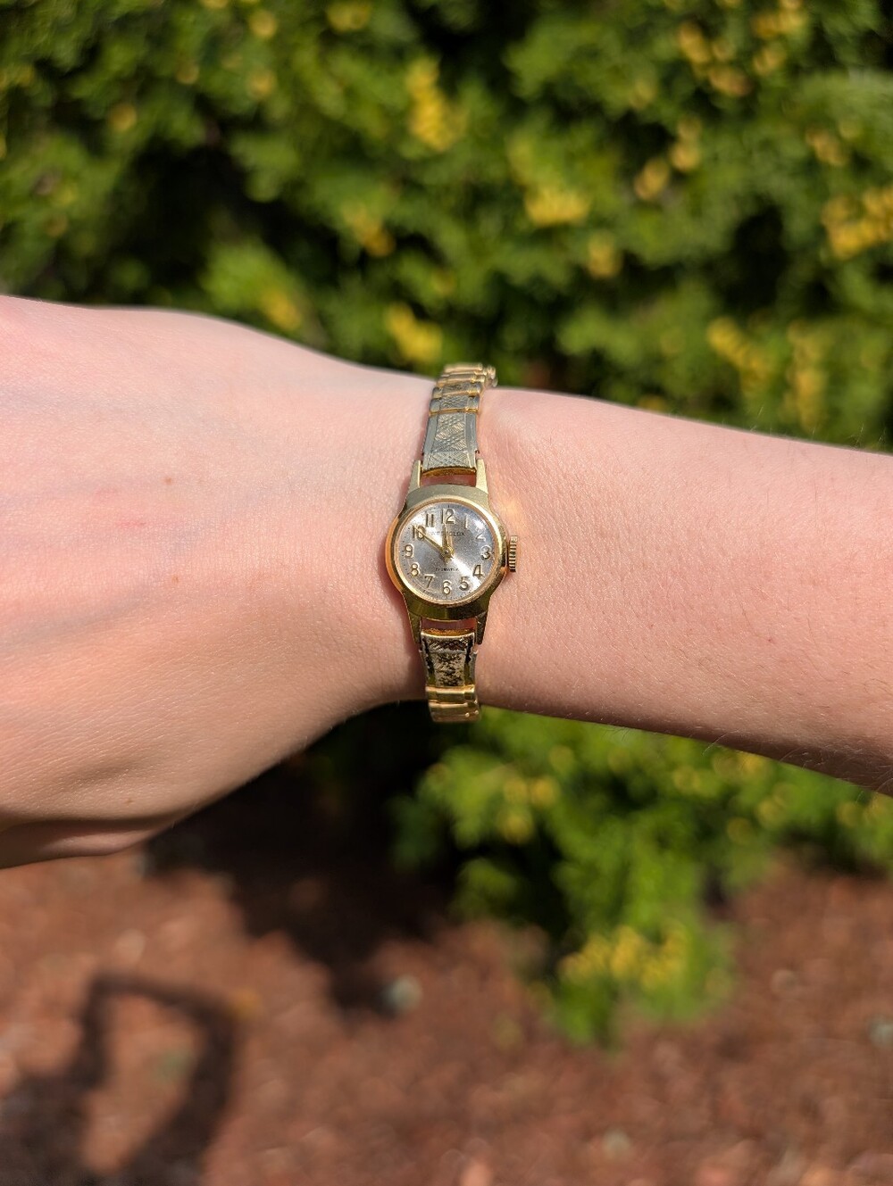 Vintage Westclox 17 Jewels Ladies Analog Watch Expandable Link